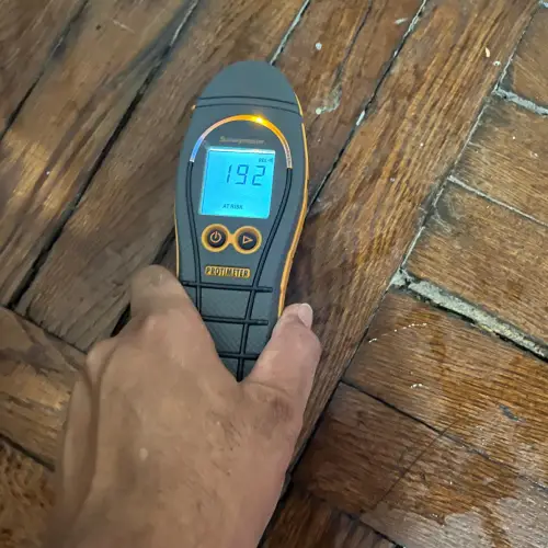 Inspection & Estimate