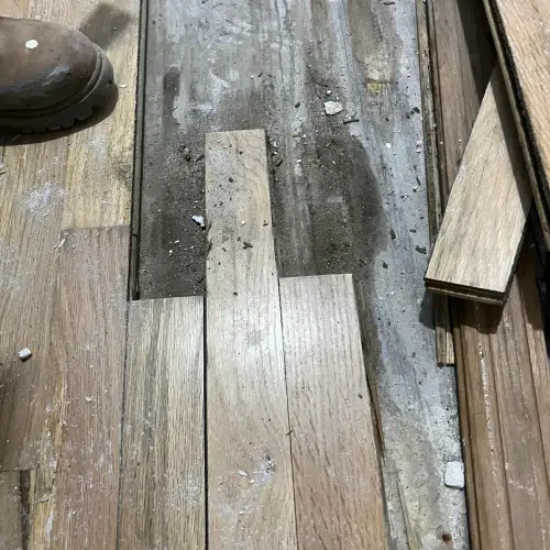 Inspection & Estimate